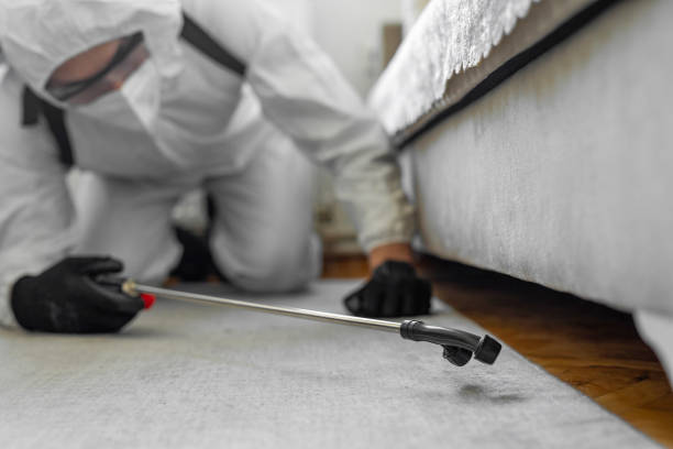 Professional Cockroach Control technician working in Halifax County County, NC